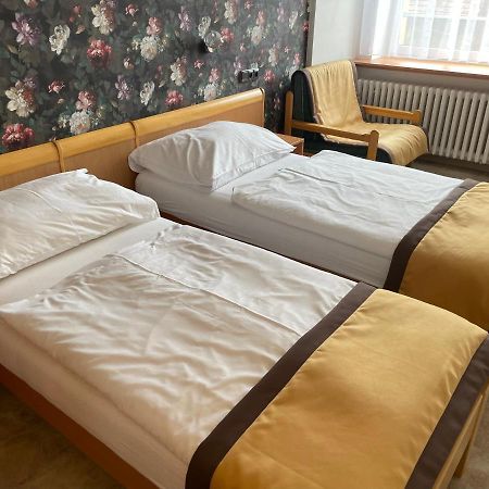 Hotel Akademie A Depandance Vila Jarmila Velké Bílovice Esterno foto