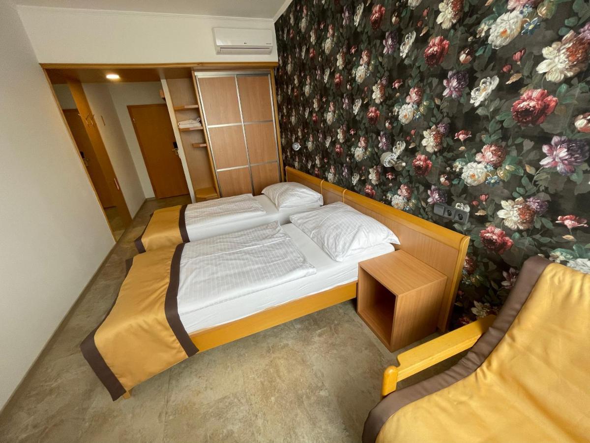 Hotel Akademie A Depandance Vila Jarmila Velké Bílovice Esterno foto