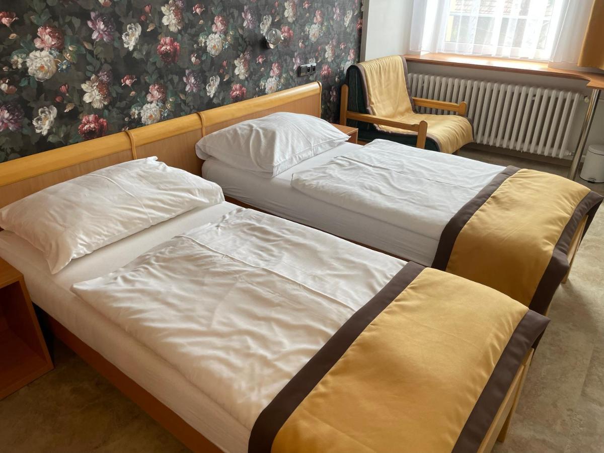 Hotel Akademie A Depandance Vila Jarmila Velké Bílovice Esterno foto